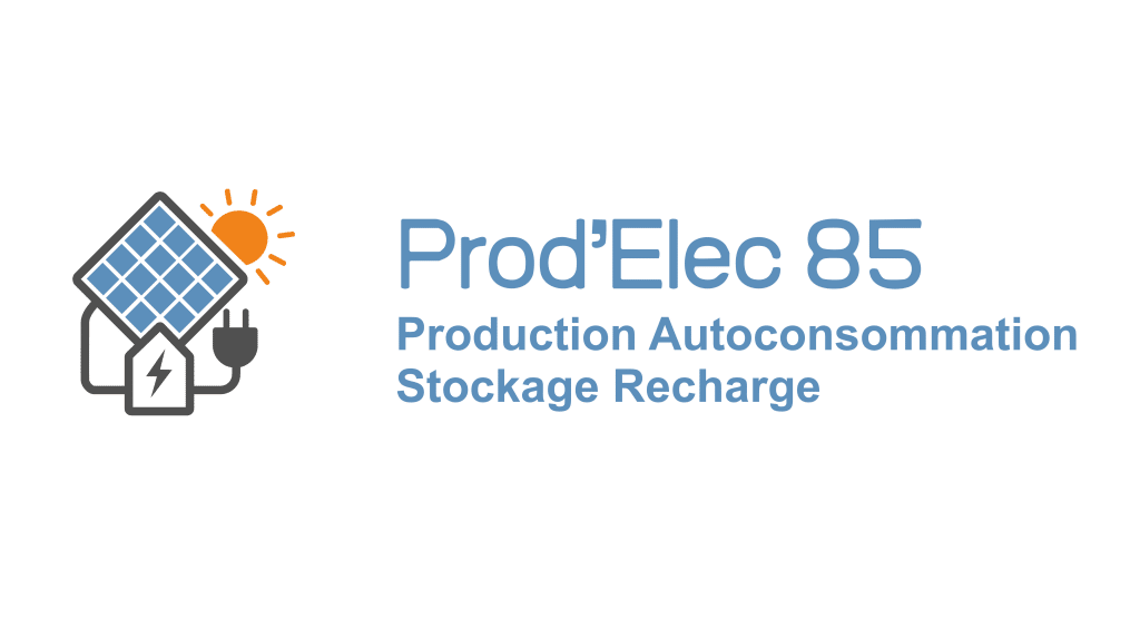 Logo prodelec85 -